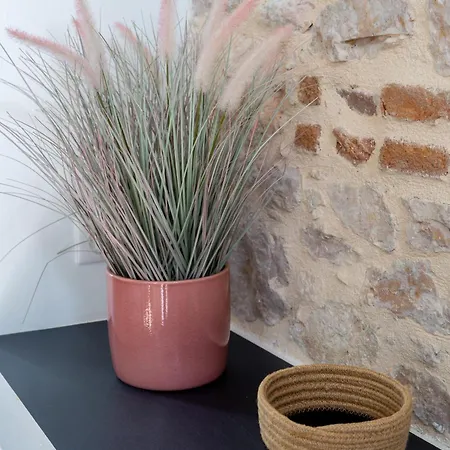 Appartement Caraman Caraman